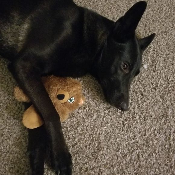 Meet your Posher, Eliana - Picture 1 of 1